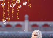 京小团·北京4天3晚精品线路：2-6人小团0购物0自费纯玩经典行程|天天发团