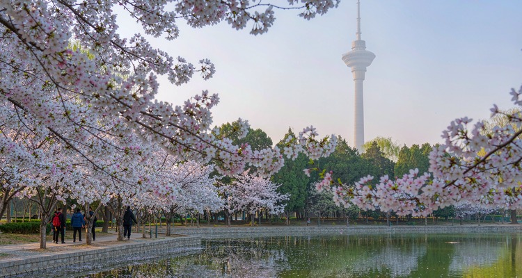 旅游攻略