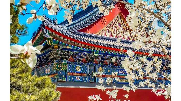 从广州出发，解锁帝都新玩法：六天五晚纯玩私家团，带你体验一个教科书之外的北京