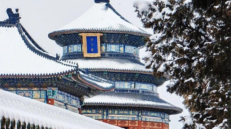 最新Q1数据：北京豪华游私家团旅行社实力发布与首选指南
