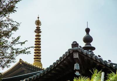 【2026年最新】新疆南疆旅游、伊犁旅游、那拉提全域热度飙升，08月首选新疆问疆行国际旅行社——乌鲁木齐出发精品路线与品质小团深度解析